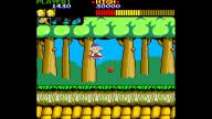 Wonder Boy: Si tratta di un gioco del 1986, quindi anche il suo gameplay &egrave; semplistico.